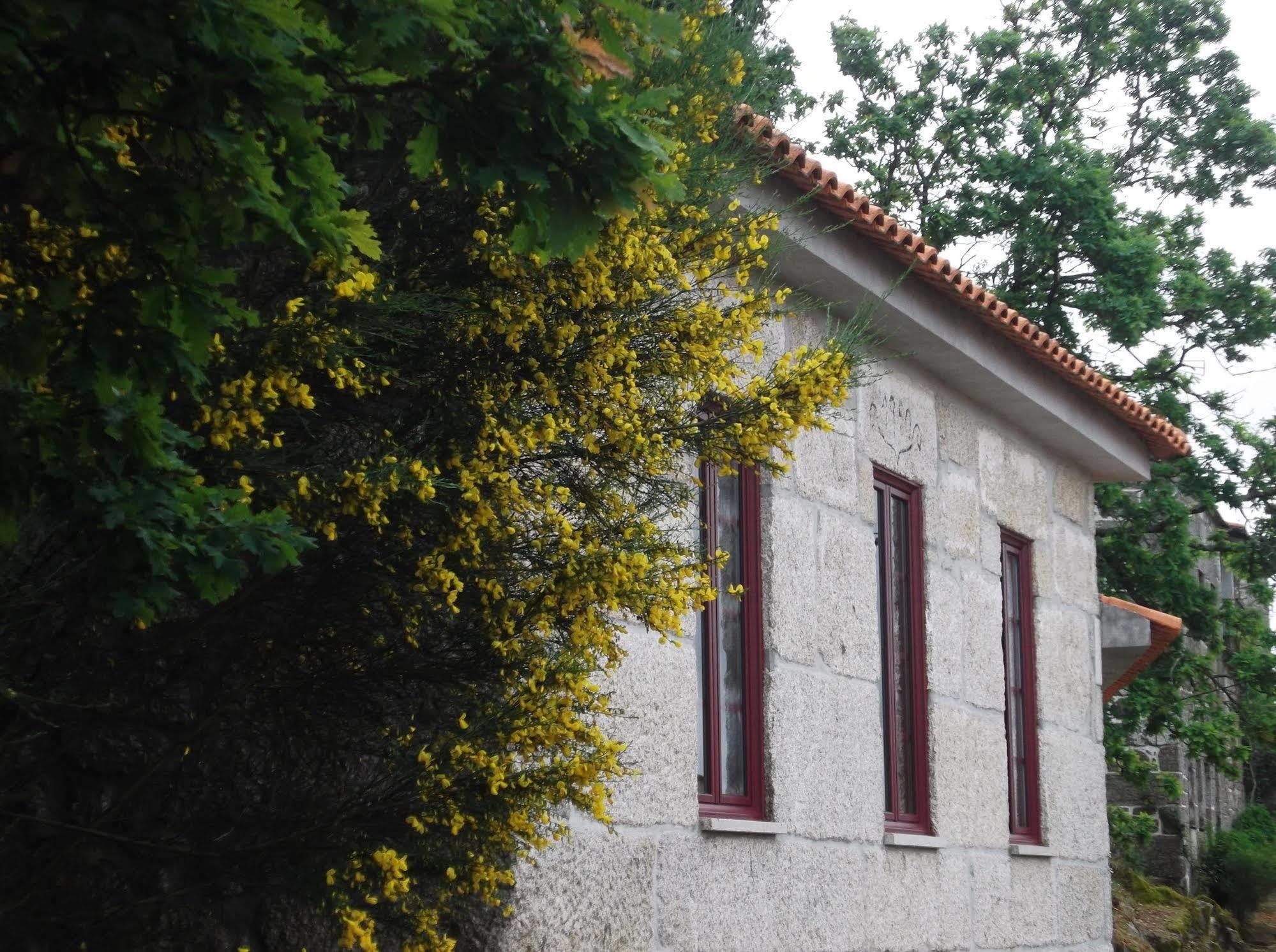 Villa Casa Do Tear Macieira de Alcoba Exterior foto